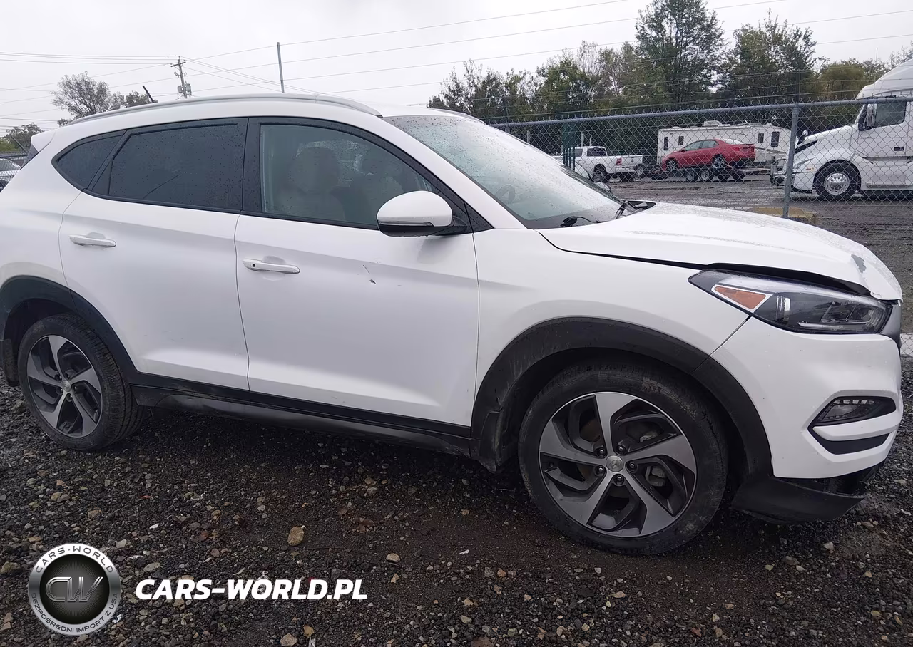 2016 Hyundai Tucson Sport VIN:KM8J33A21GU028689 - 13
