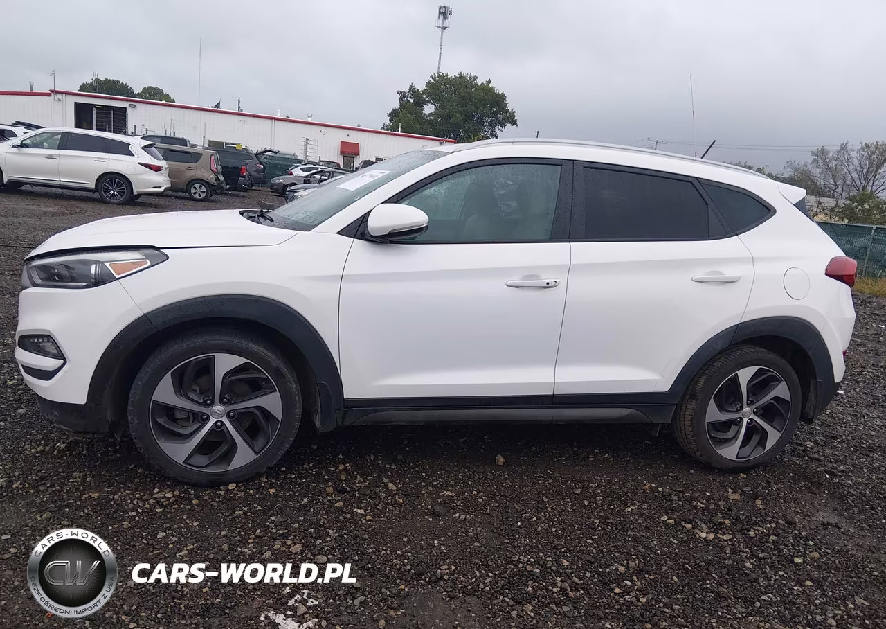2016 Hyundai Tucson Sport VIN:KM8J33A21GU028689 - 14