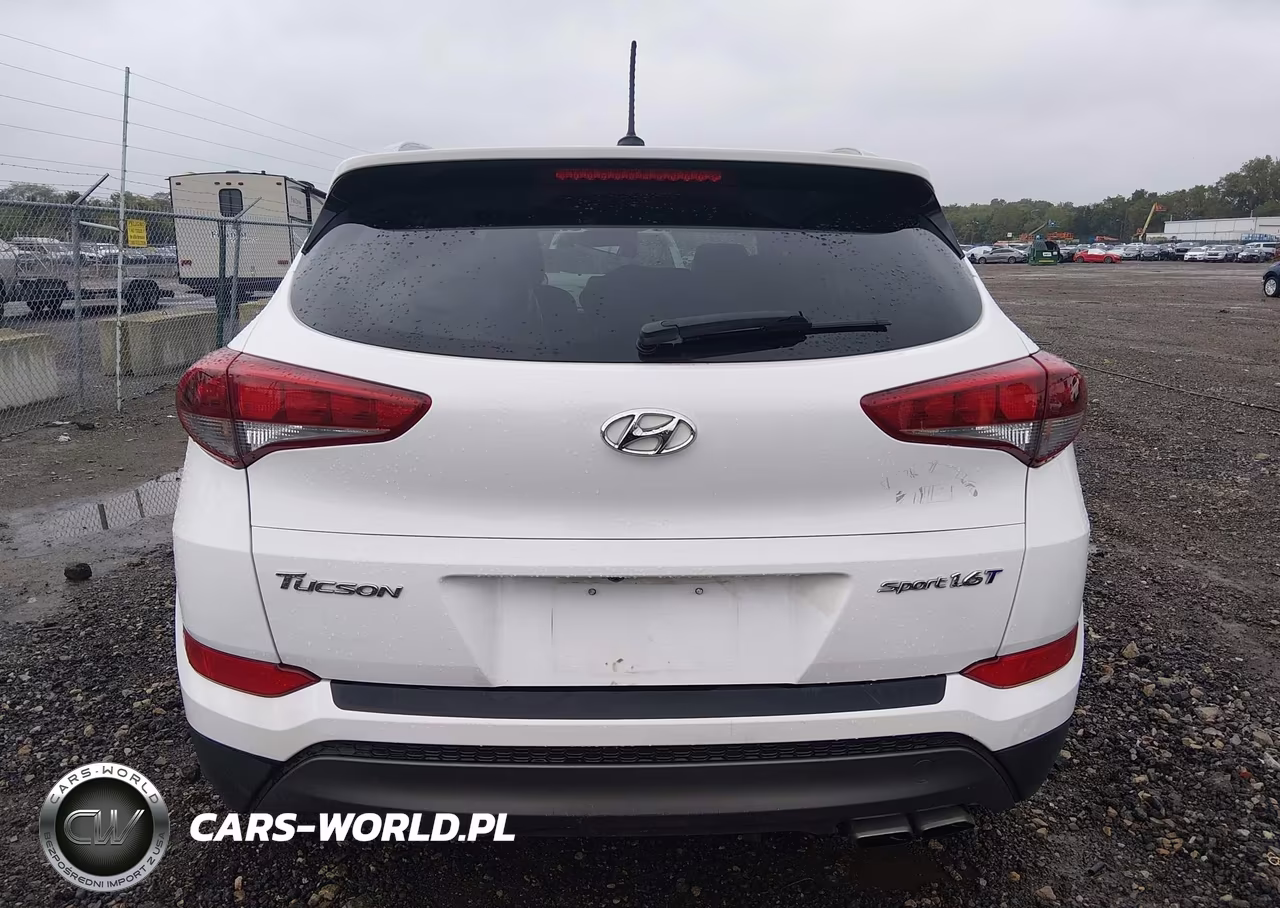 2016 Hyundai Tucson Sport VIN:KM8J33A21GU028689 - 16