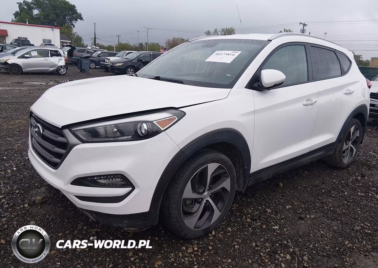 2016 Hyundai Tucson Sport VIN:KM8J33A21GU028689 - 2