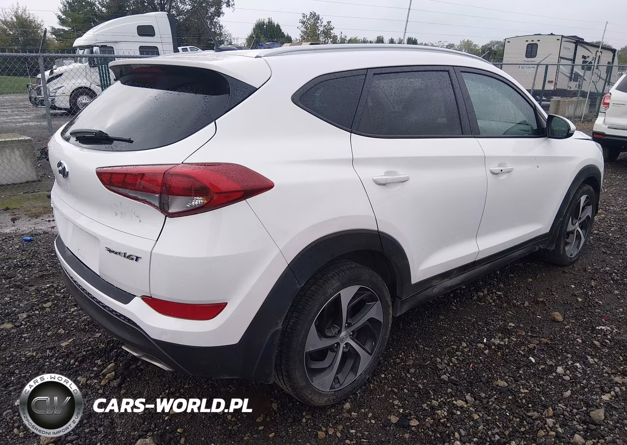 2016 Hyundai Tucson Sport VIN:KM8J33A21GU028689 - 4