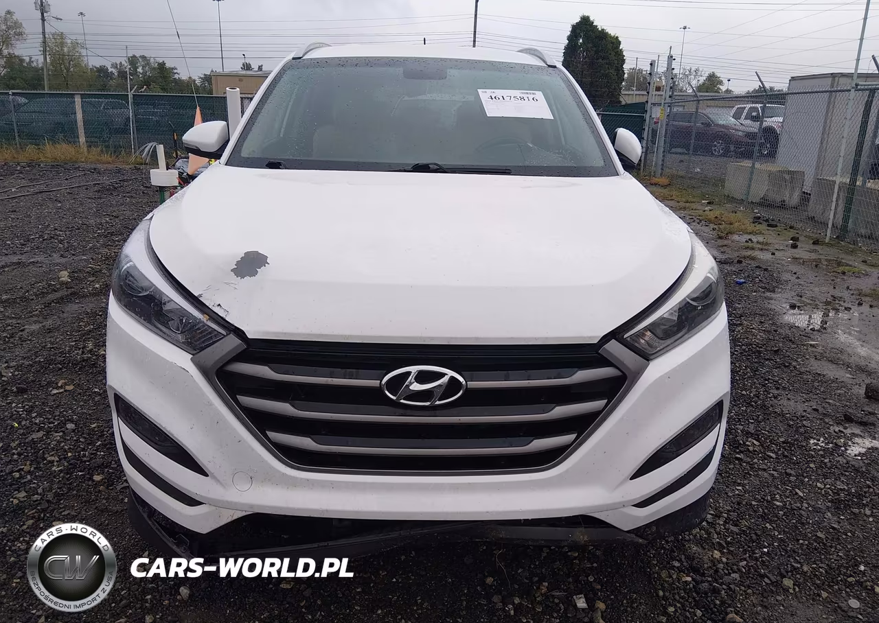 2016 Hyundai Tucson Sport VIN:KM8J33A21GU028689 - 6