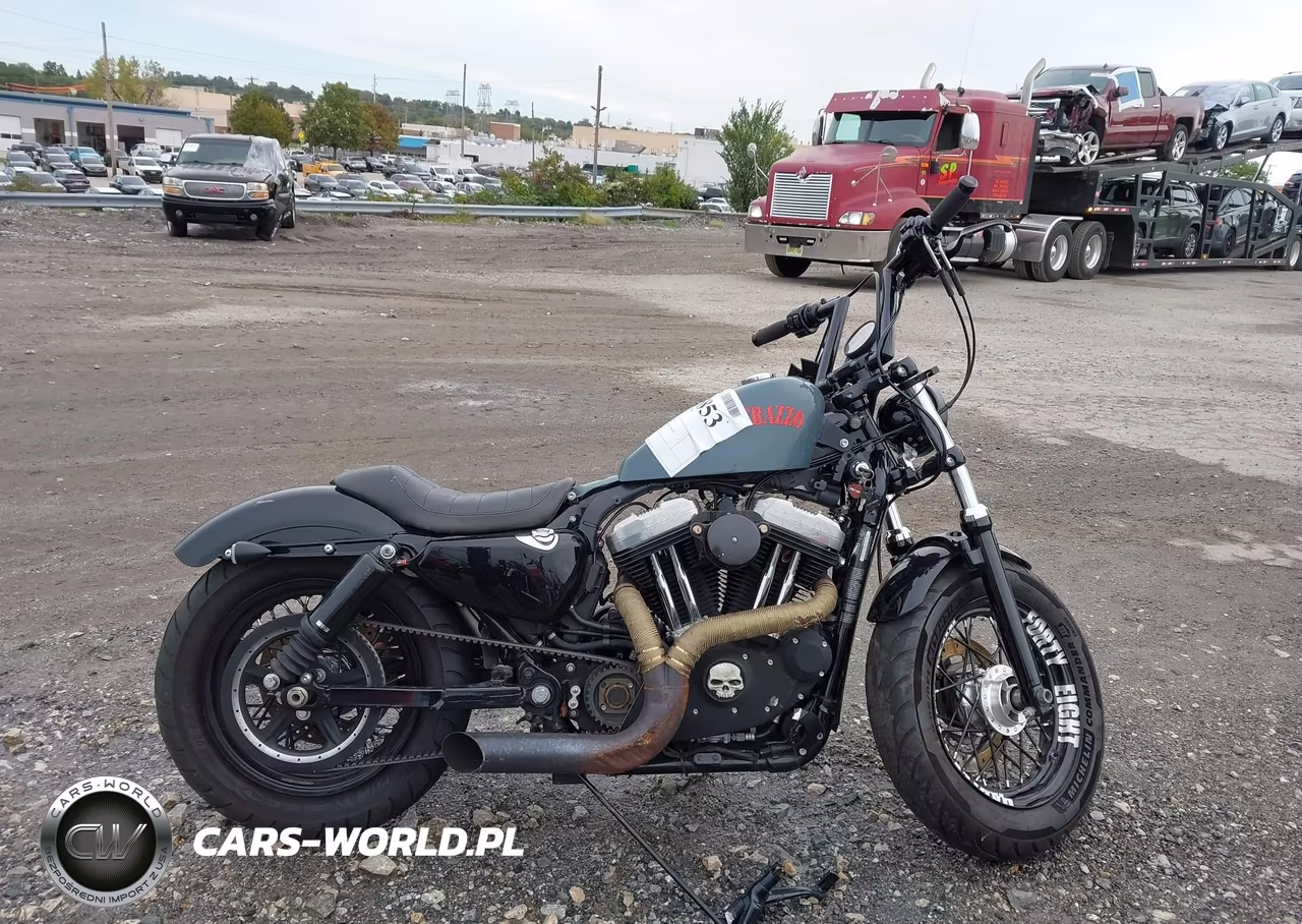 2010 Harley-Davidson Xl1200 X VIN:1HD1LC329AC436807 - 12