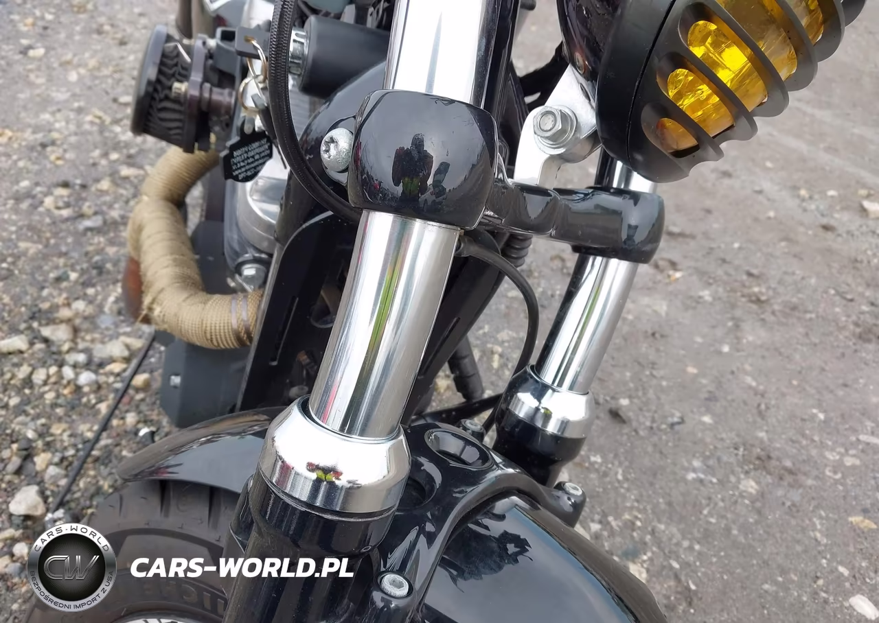 2010 Harley-Davidson Xl1200 X VIN:1HD1LC329AC436807 - 16