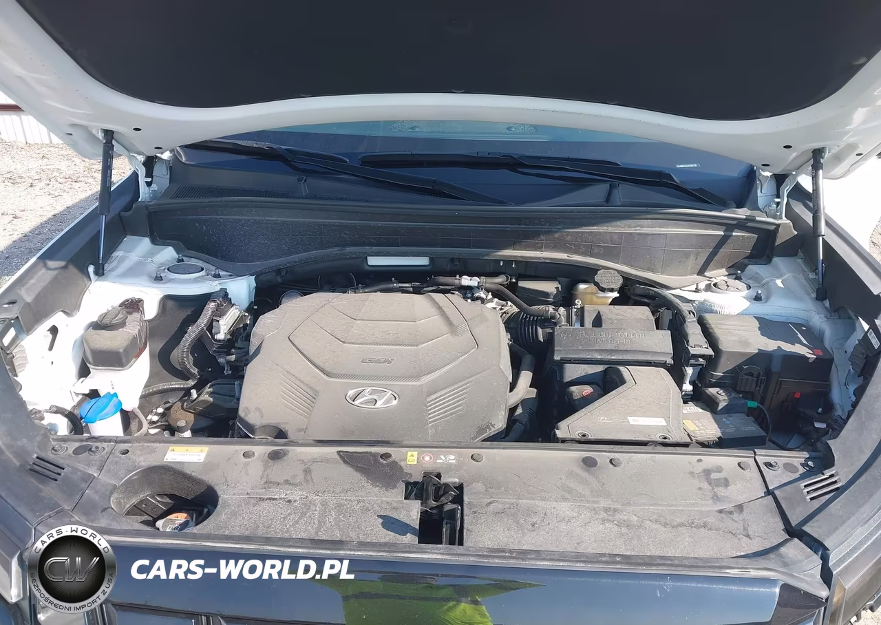 2025 Hyundai Palisade Sel VIN:KM8R24GE4SU954798 - 10