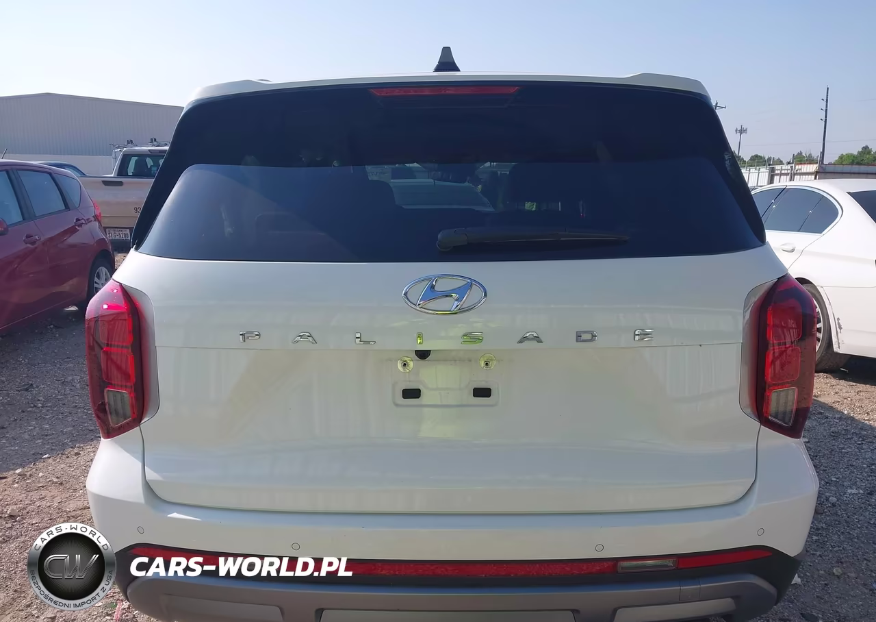 2025 Hyundai Palisade Sel VIN:KM8R24GE4SU954798 - 17