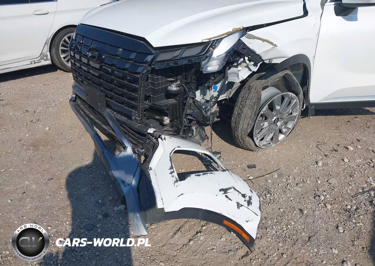 2025 Hyundai Palisade Sel VIN:KM8R24GE4SU954798 - 6