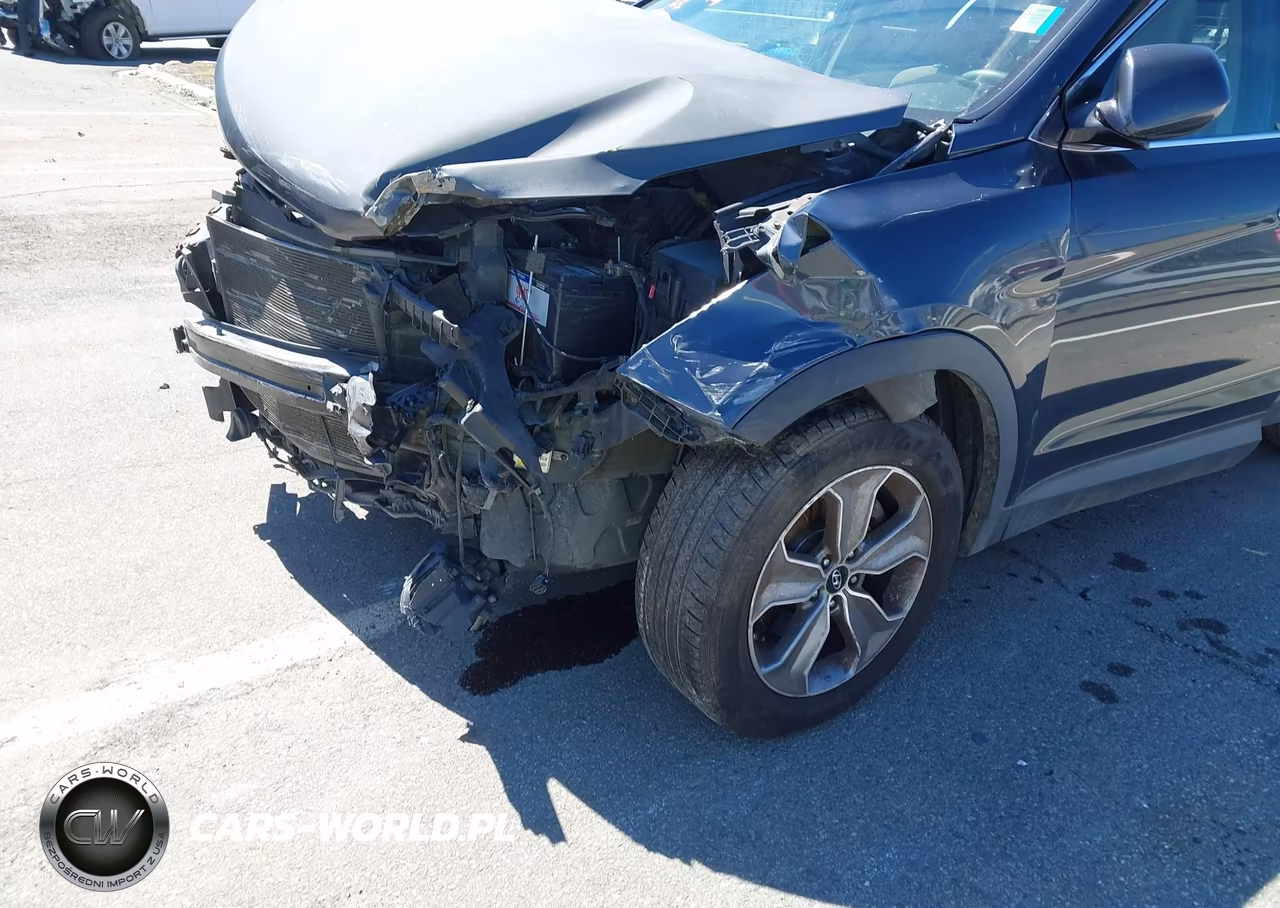 2016 Hyundai Santa Fe Se VIN:KM8SM4HF9GU148904 - 6