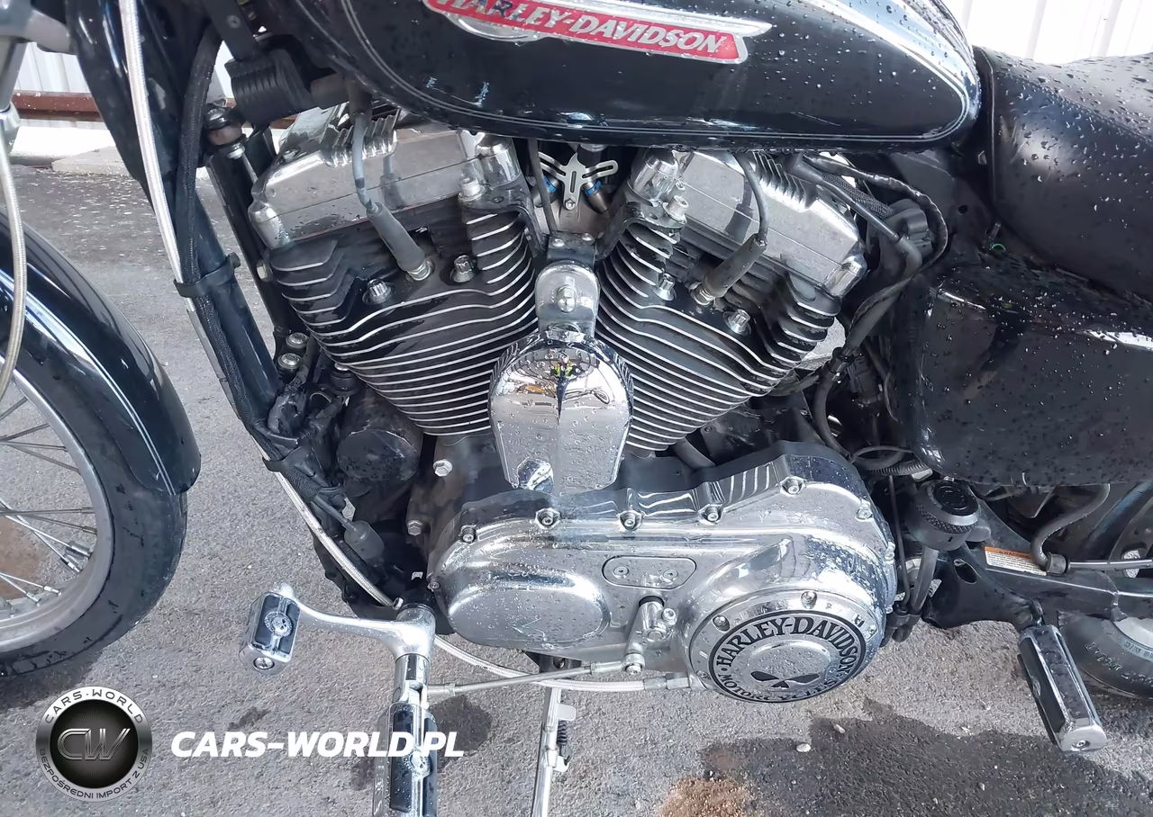2009 Harley-Davidson Xl1200 C VIN:1HD1CT3159K409127 - 9