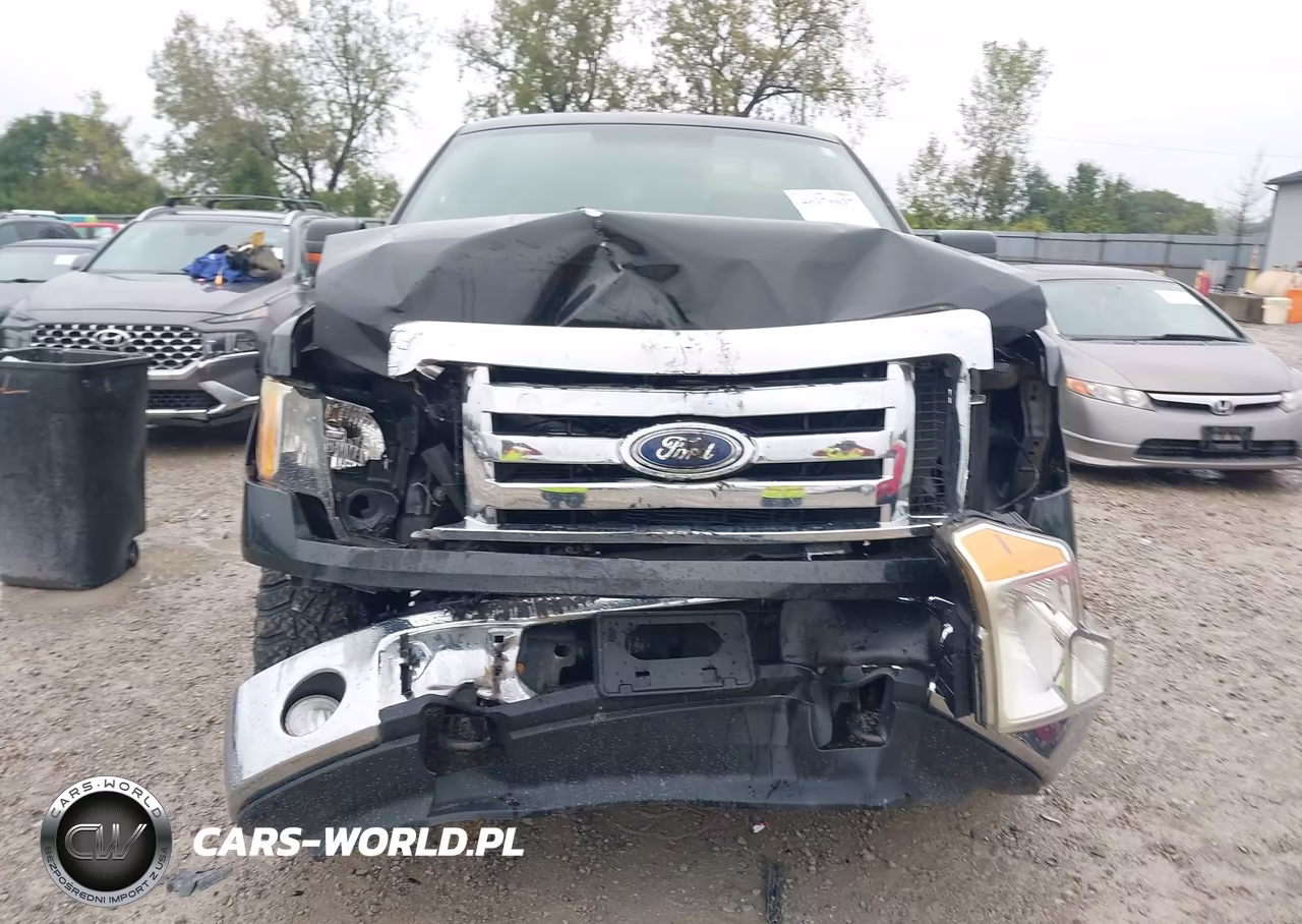 2010 Ford F-150 Xlt VIN:1FTEX1E80AFD31701 - 12