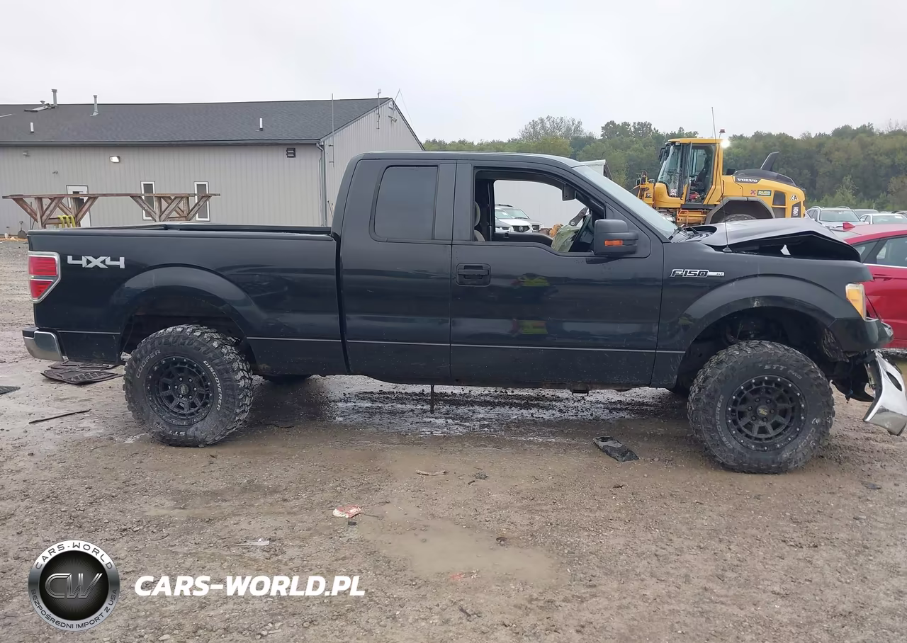 2010 Ford F-150 Xlt VIN:1FTEX1E80AFD31701 - 13