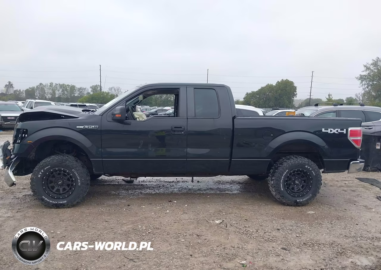 2010 Ford F-150 Xlt VIN:1FTEX1E80AFD31701 - 14