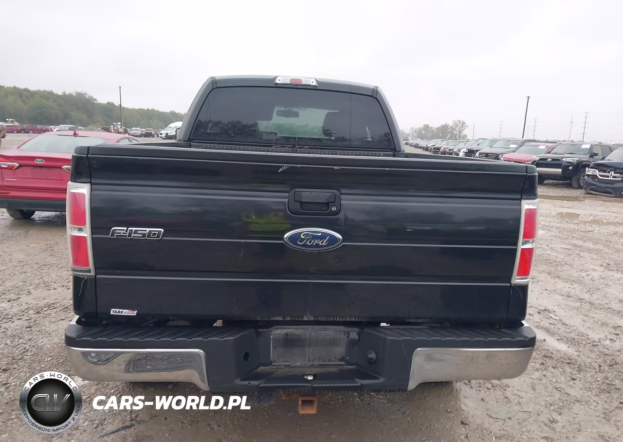 2010 Ford F-150 Xlt VIN:1FTEX1E80AFD31701 - 16