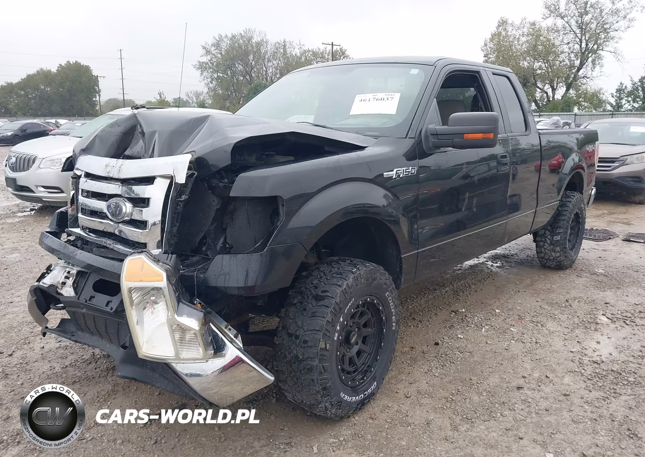 2010 Ford F-150 Xlt VIN:1FTEX1E80AFD31701 - 2