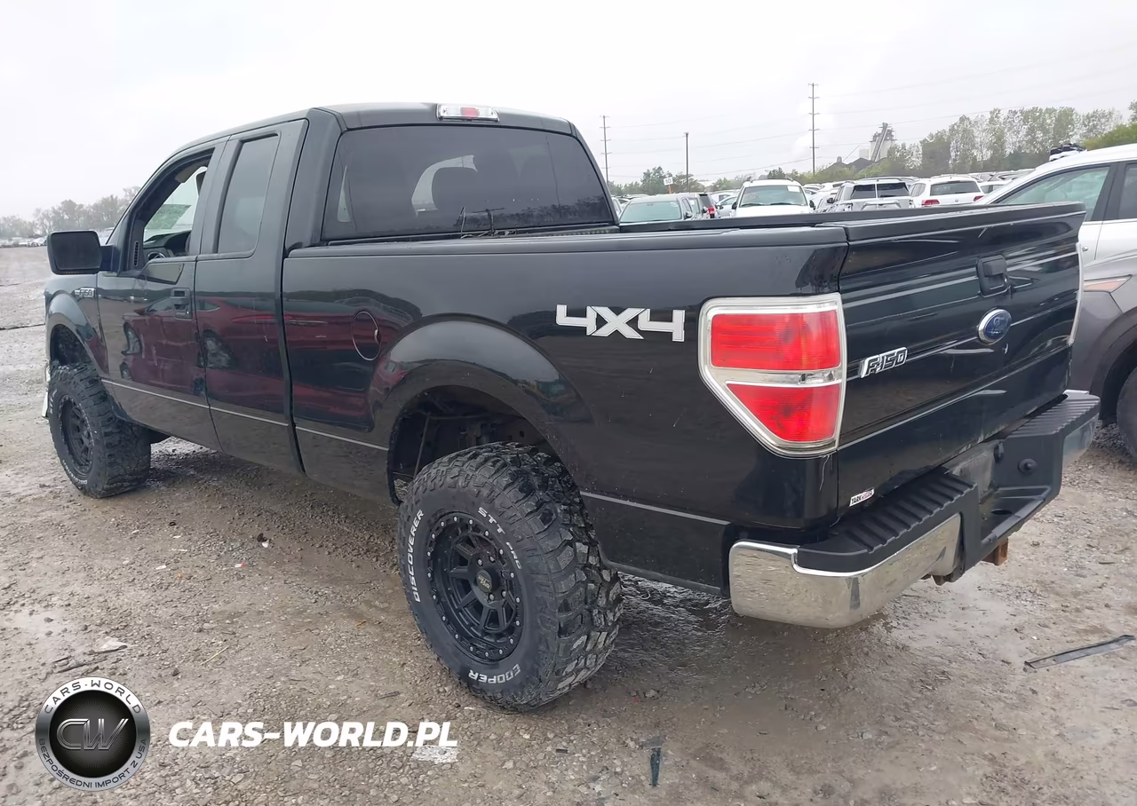 2010 Ford F-150 Xlt VIN:1FTEX1E80AFD31701 - 3