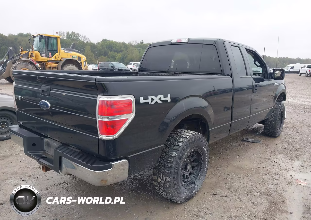 2010 Ford F-150 Xlt VIN:1FTEX1E80AFD31701 - 4
