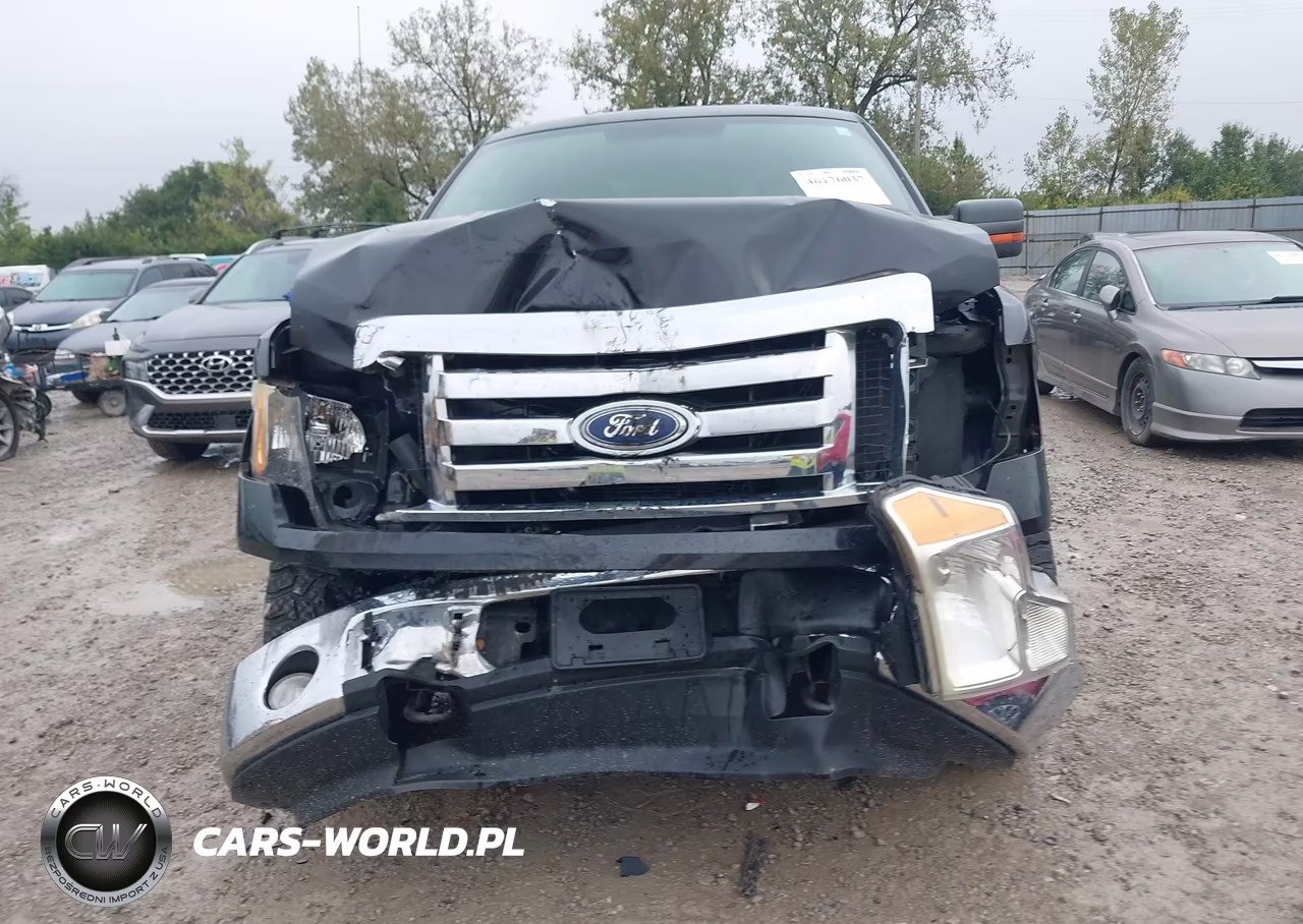 2010 Ford F-150 Xlt VIN:1FTEX1E80AFD31701 - 6