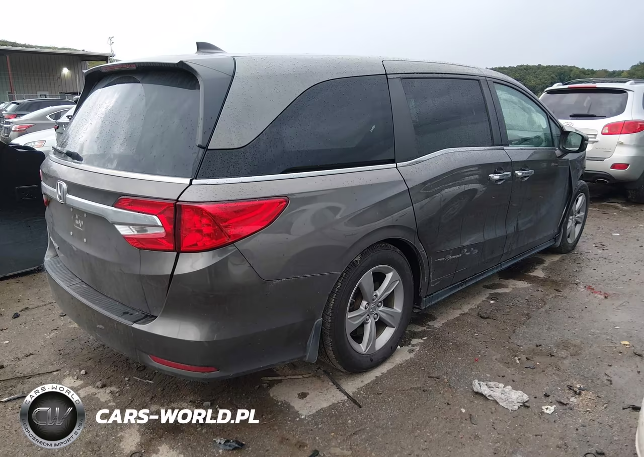 2020 Honda Odyssey Ex-L-Ex-L W-Navi Res VIN:5FNRL6H79LB000099 - 4