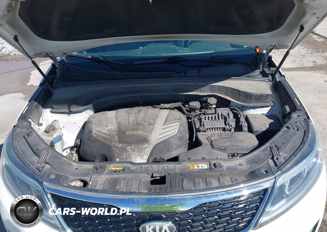 2014 Kia Sorento Ex V6 VIN:5XYKUDA79EG464664 - 10