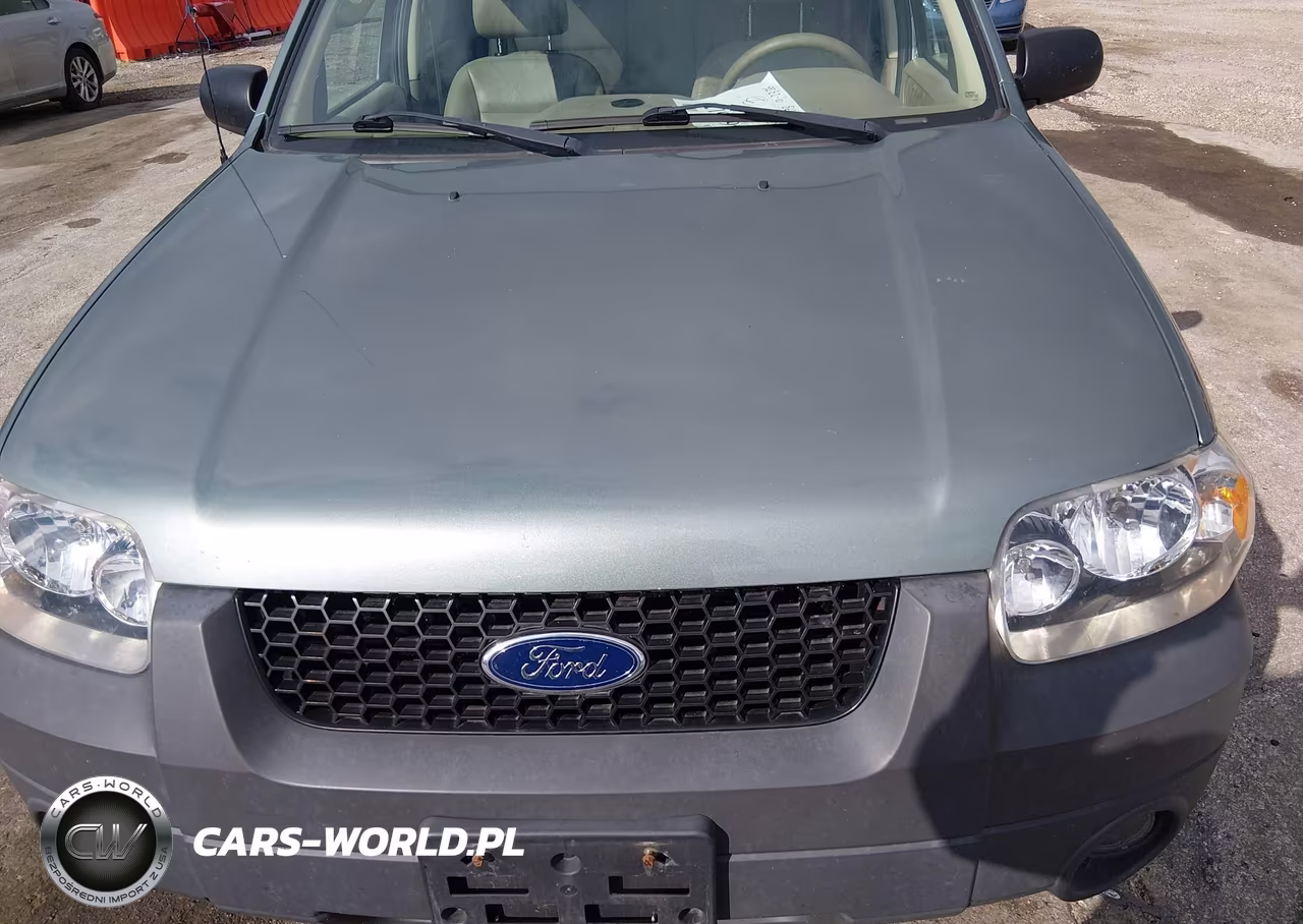 2005 Ford Escape Xlt VIN:1FMCU03175DA20909 - 6