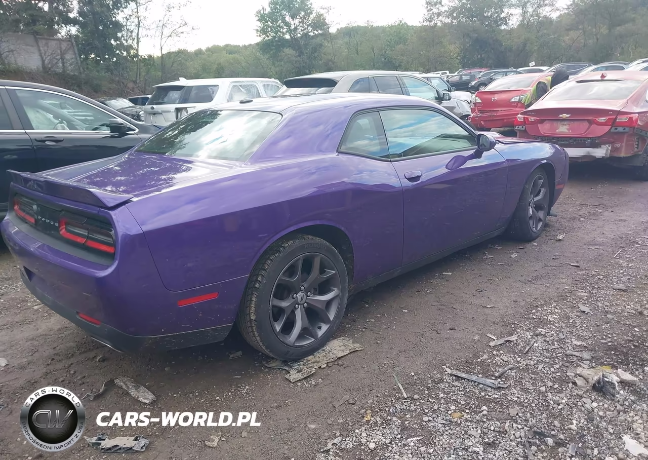 2019 Dodge Challenger Gt VIN:2C3CDZJG6KH705325 - 4