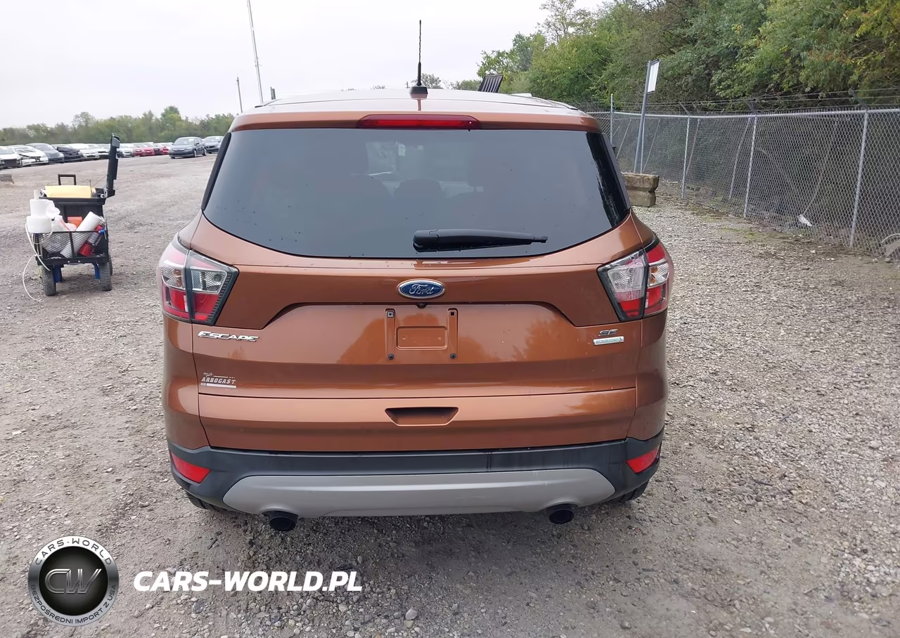 2017 Ford Escape Se VIN:1FMCU0GD2HUB28170 - 16