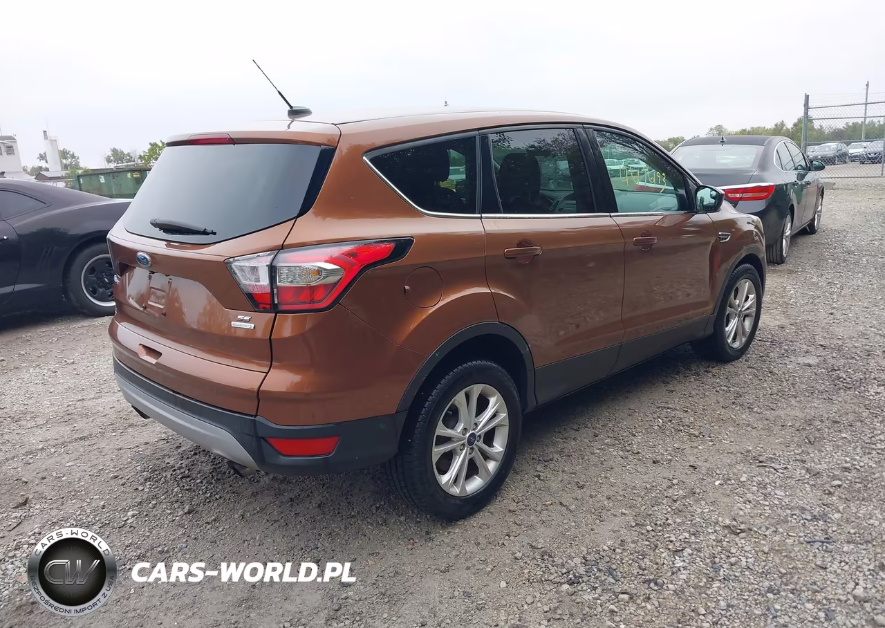 2017 Ford Escape Se VIN:1FMCU0GD2HUB28170 - 4