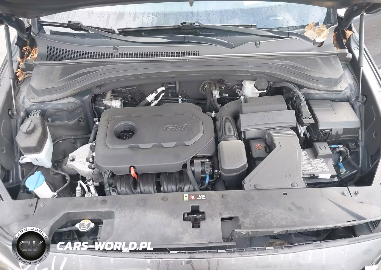 2020 Hyundai Santa Fe Limited VIN:5NMS5CAD7LH290271 - 10