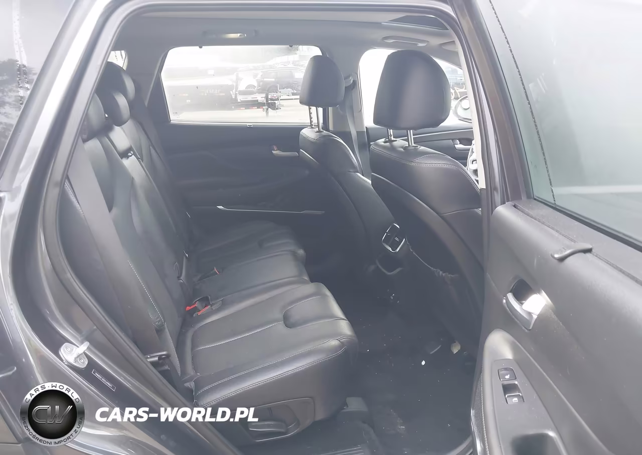2020 Hyundai Santa Fe Limited VIN:5NMS5CAD7LH290271 - 8