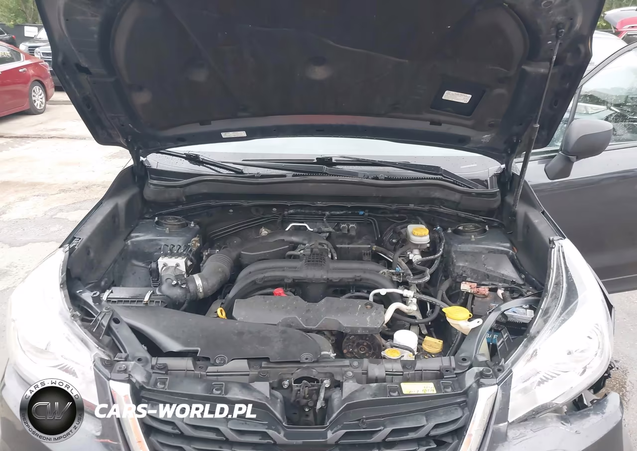 2017 Subaru Forester 2.5I VIN:JF2SJAAC2HH515987 - 10