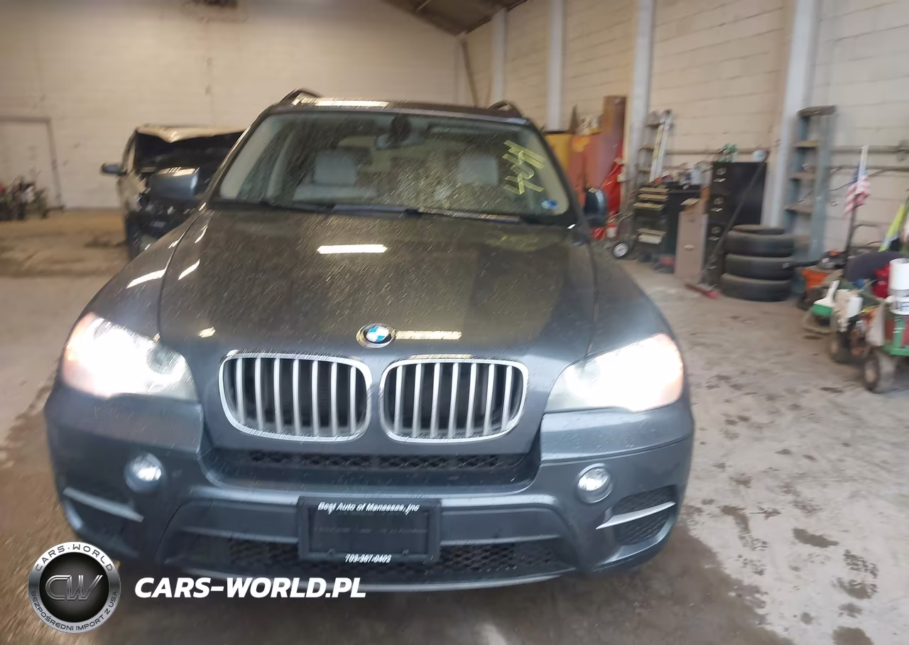 2013 BMW X5 xDrive35I-xDrive35I Premium-xDrive35I Sport Activity VIN:5UXZV4C52D0E14041 - 12