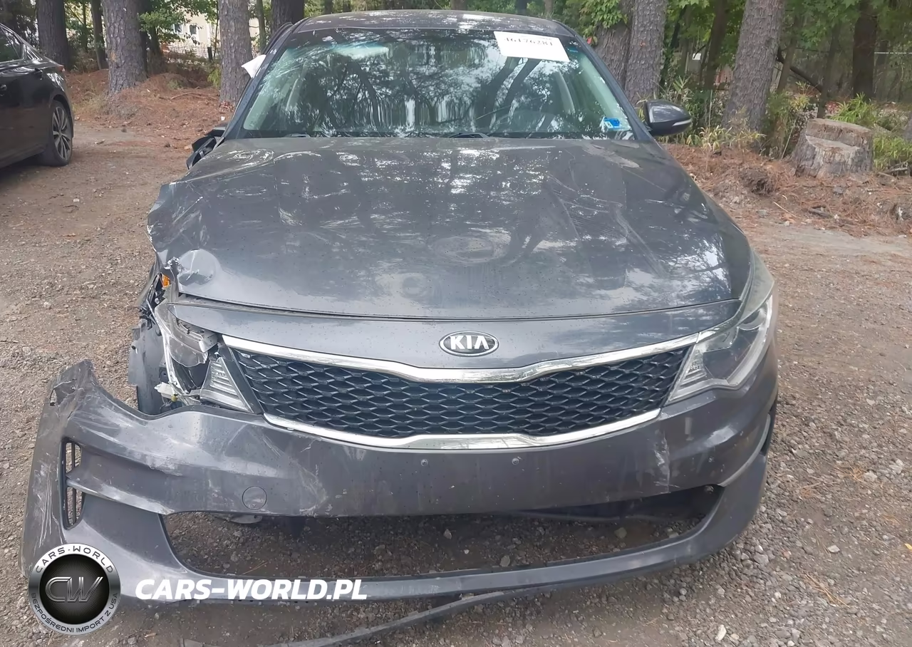 2017 Kia Optima Lx VIN:KNAGT4L32H5145975 - 12