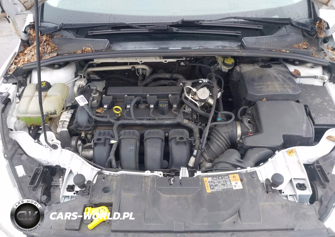 2016 Ford Focus Se VIN:1FADP3K27GL338474 - 10