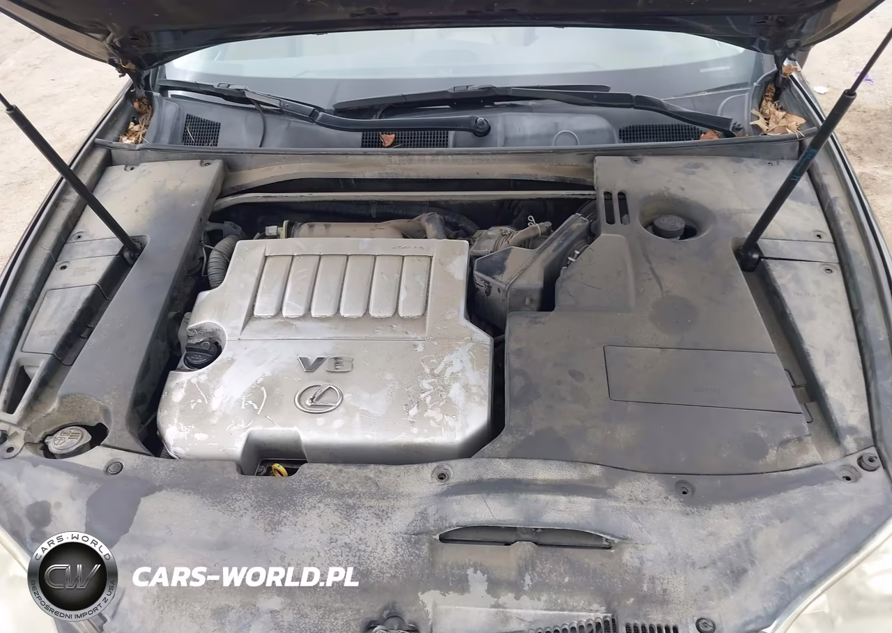 2010 Lexus Es 350 VIN:JTHBK1EG3A2409452 - 10