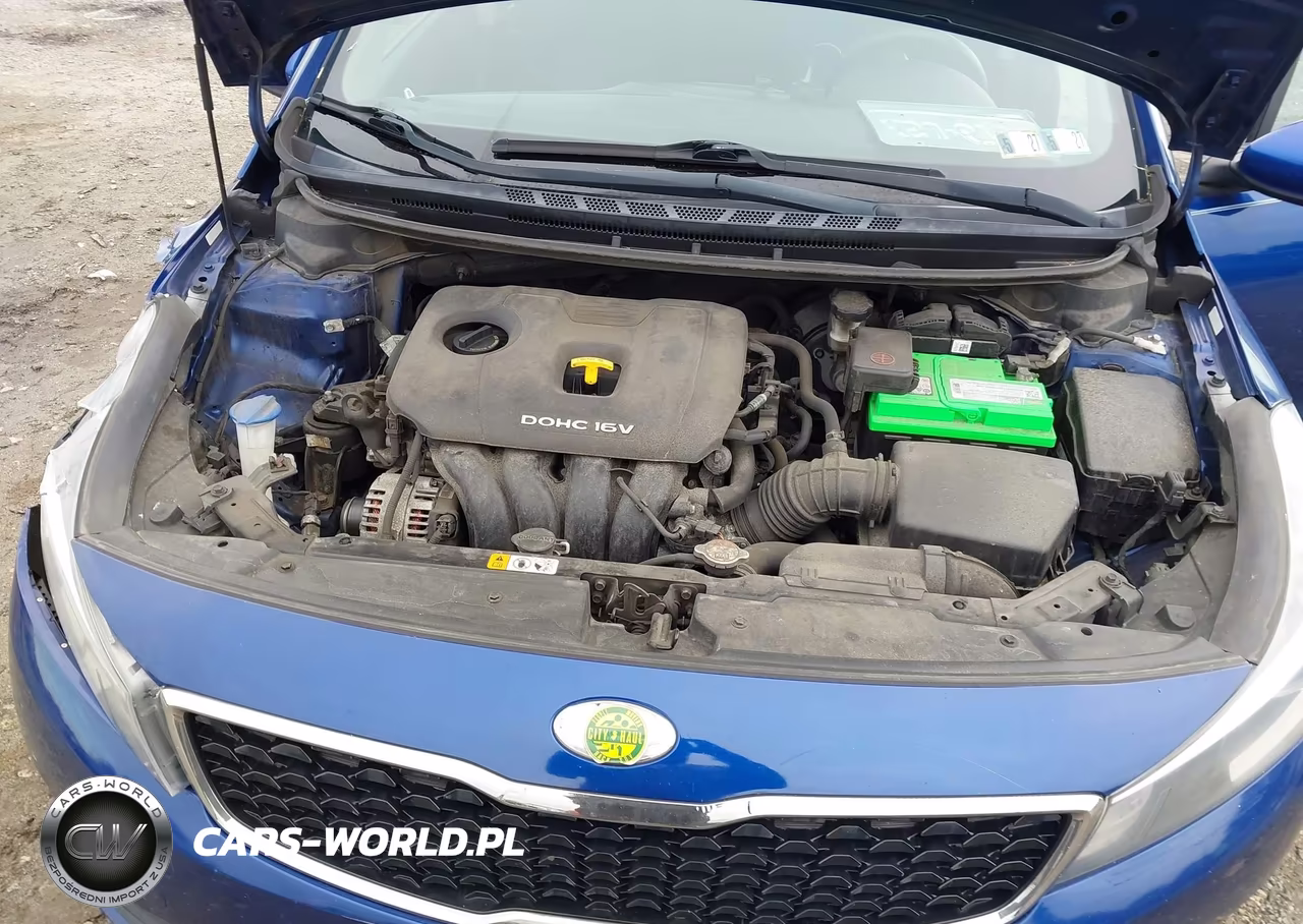 2018 Kia Forte Lx VIN:3KPFK4A7XJE228037 - 10