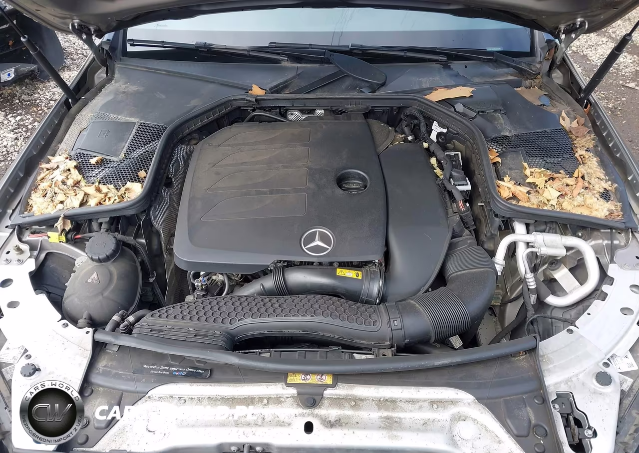 2019 Mercedes-Benz C 300 4Matic VIN:55SWF8EB9KU286242 - 10