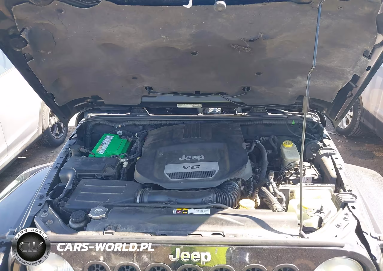 2014 Jeep Wrangler Unlimited Sahara VIN:1C4BJWEGXEL134485 - 10
