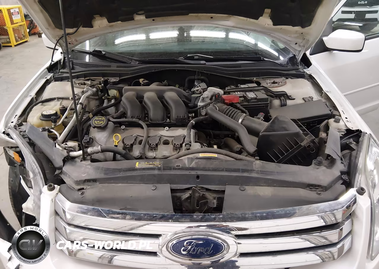 FORD FUSION SE VIN:3FAHP01179R212239 - 10