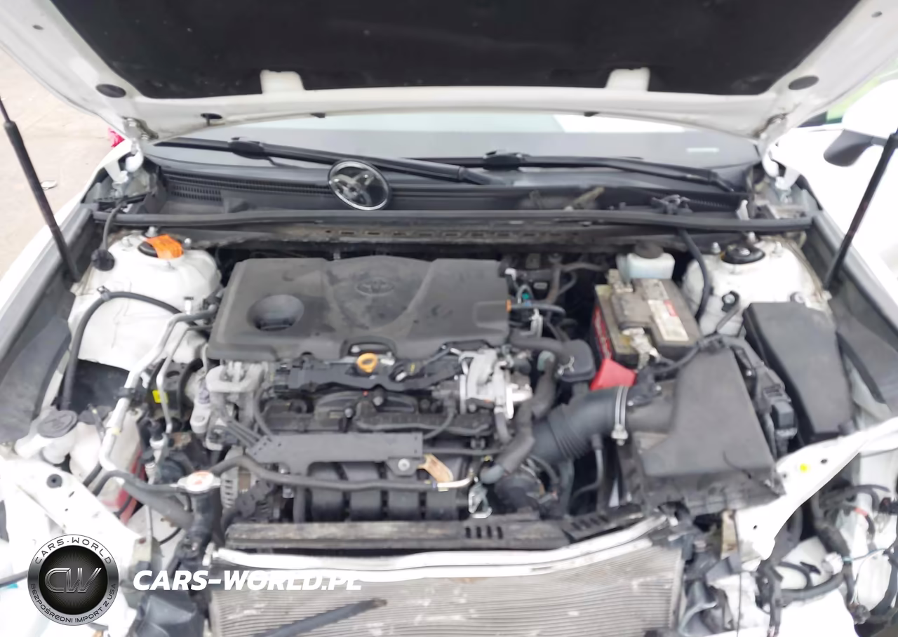 2020 Toyota Camry Le VIN:4T1C11AK6LU956950 - 10