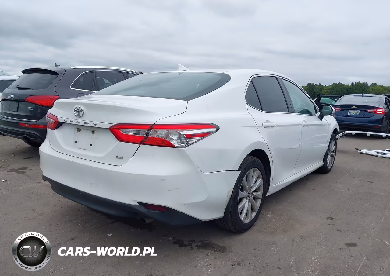 2020 Toyota Camry Le VIN:4T1C11AK6LU956950 - 4