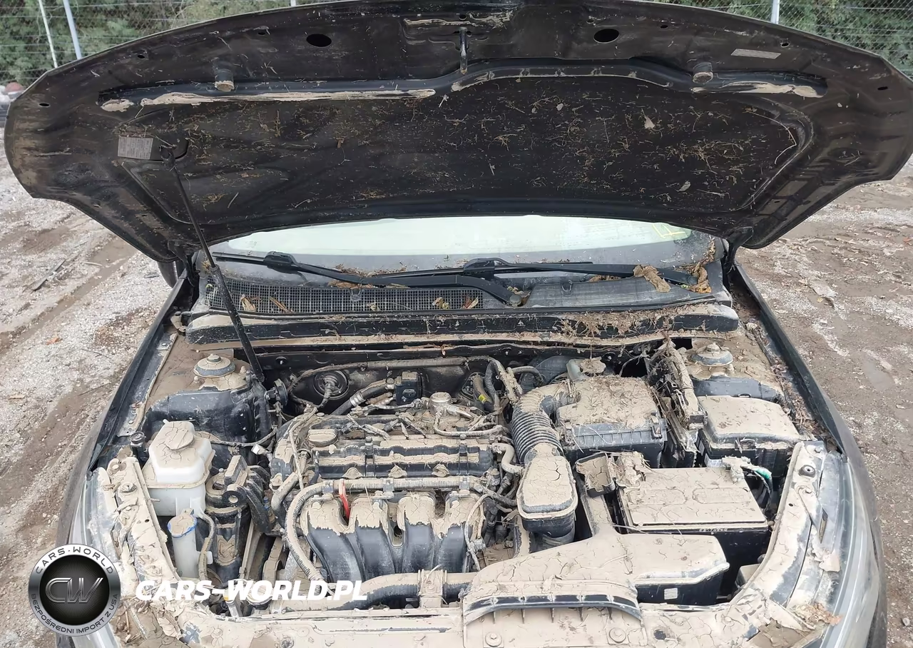 2015 Kia Optima Lx VIN:KNAGM4A75F5615660 - 10