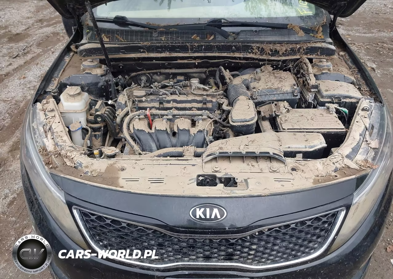 2015 Kia Optima Lx VIN:KNAGM4A75F5615660 - 15