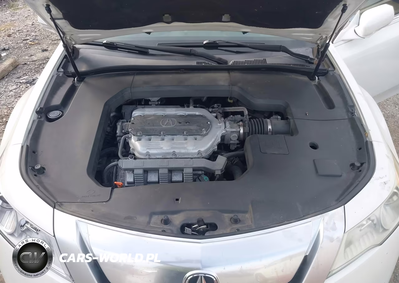 2009 Acura Tl 3.5 VIN:19UUA86219A002001 - 10