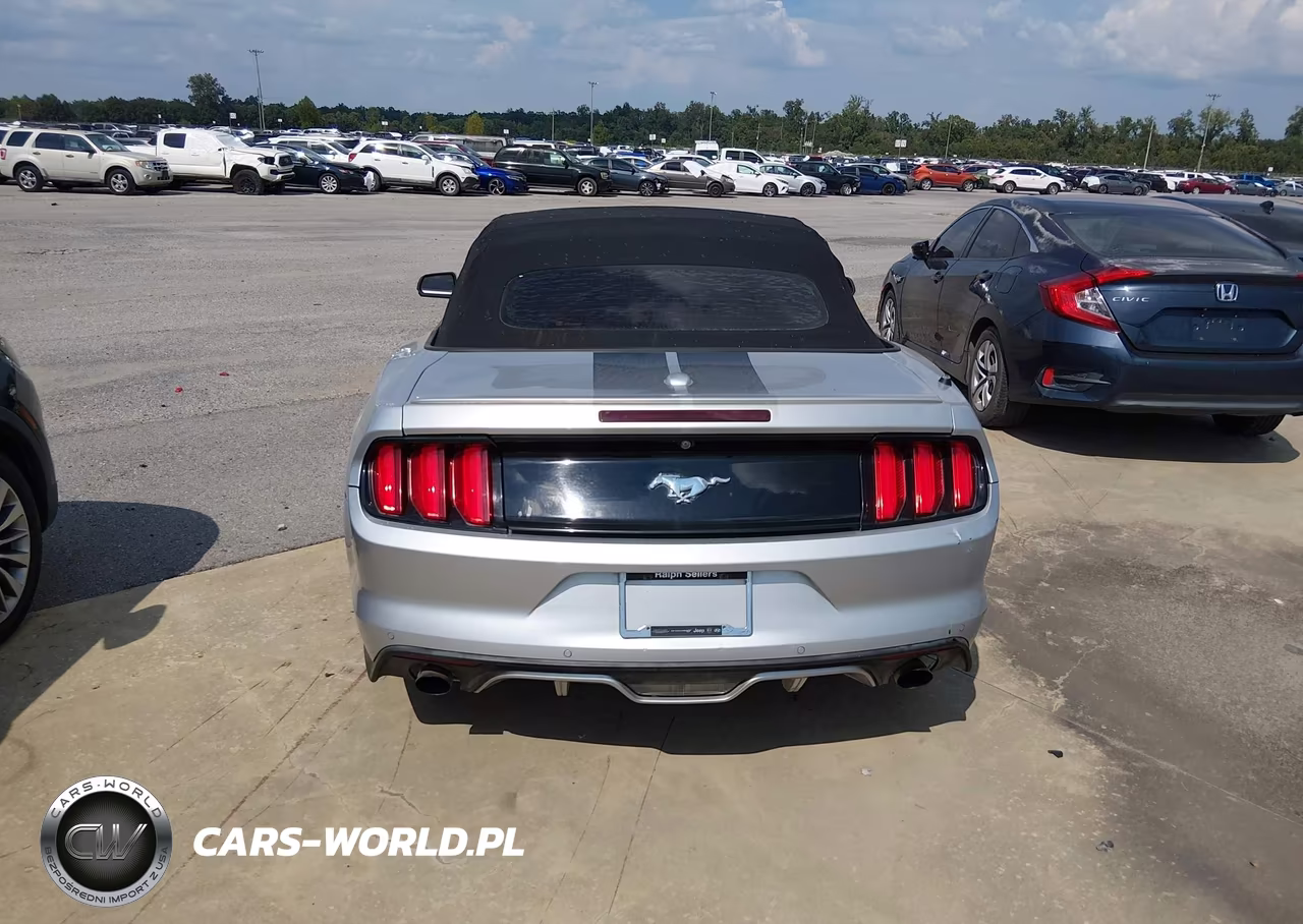 2017 Ford Mustang Ecoboost Premium VIN:1FATP8UHXH5328702 - 16