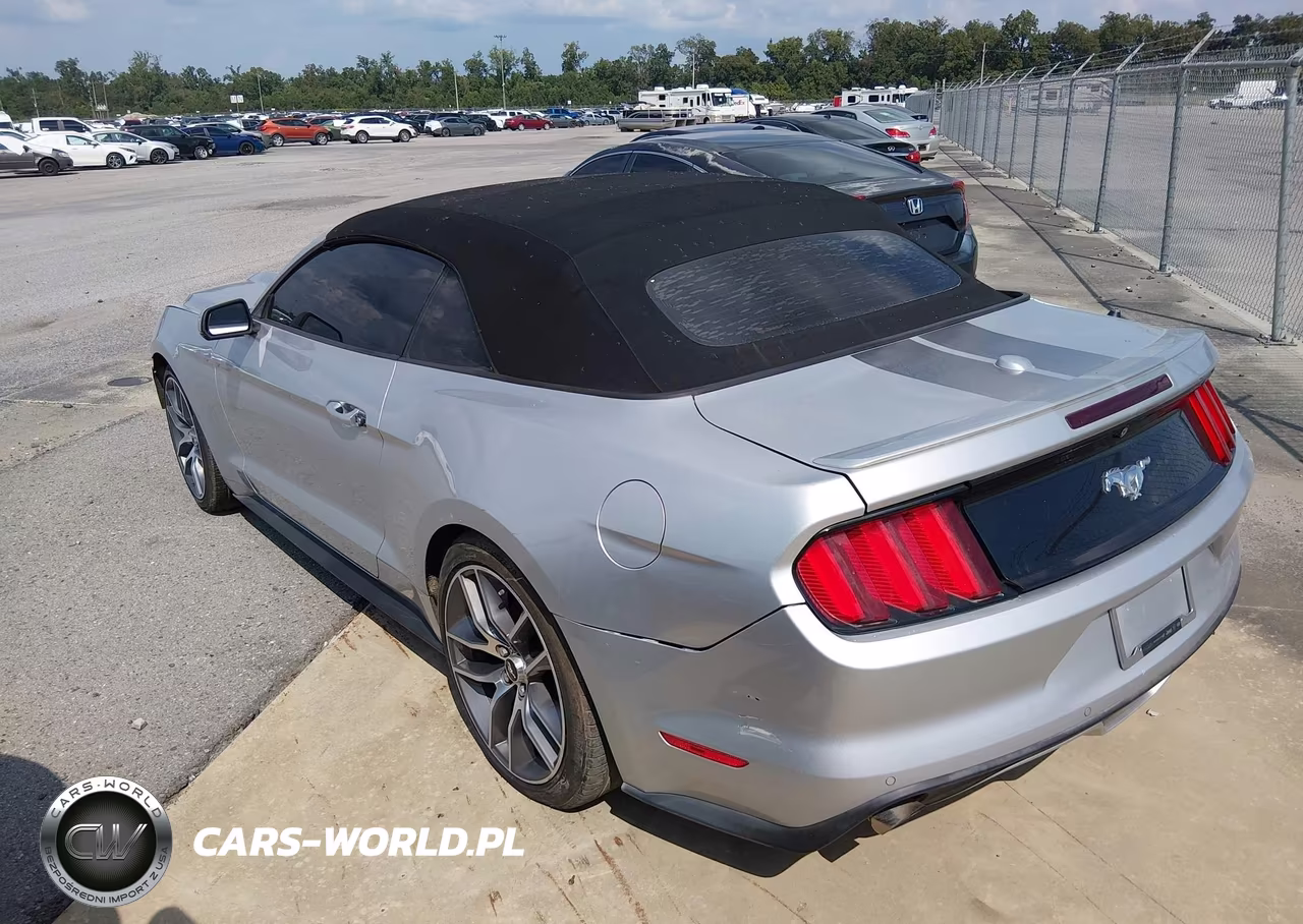 2017 Ford Mustang Ecoboost Premium VIN:1FATP8UHXH5328702 - 3