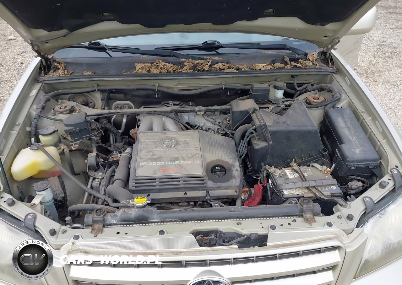 2002 Toyota Highlander Limited V6 VIN:JTEHF21A520094721 - 10