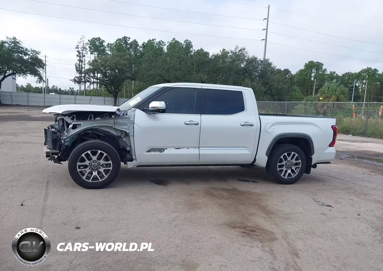 2022 Toyota Tundra 1794 Edition VIN:5TFMA5DB5NX018693 - 15