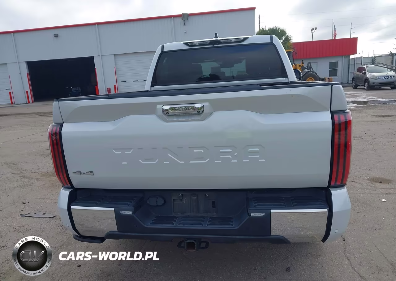 2022 Toyota Tundra 1794 Edition VIN:5TFMA5DB5NX018693 - 17