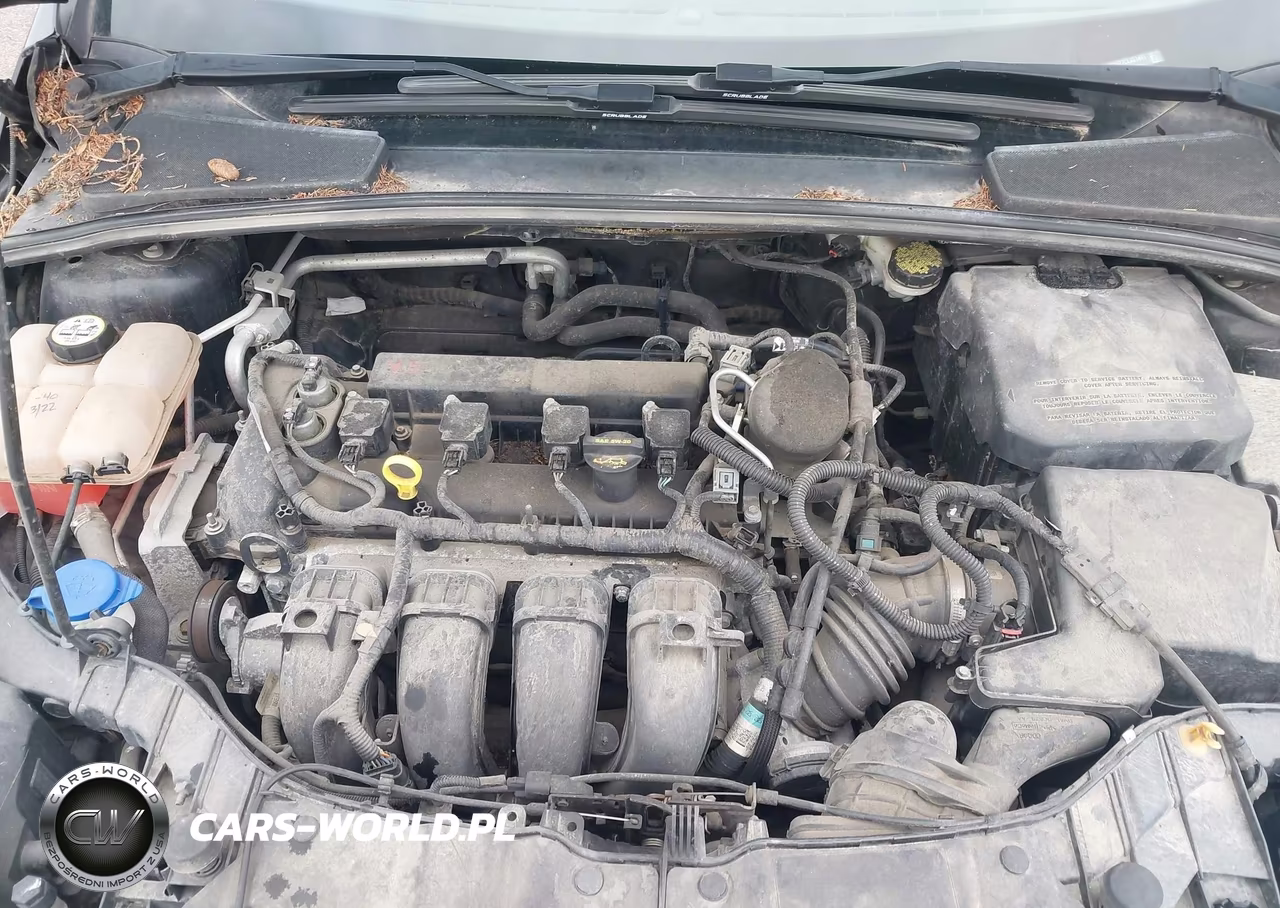 2012 Ford Focus Sel VIN:1FAHP3M27CL451401 - 10