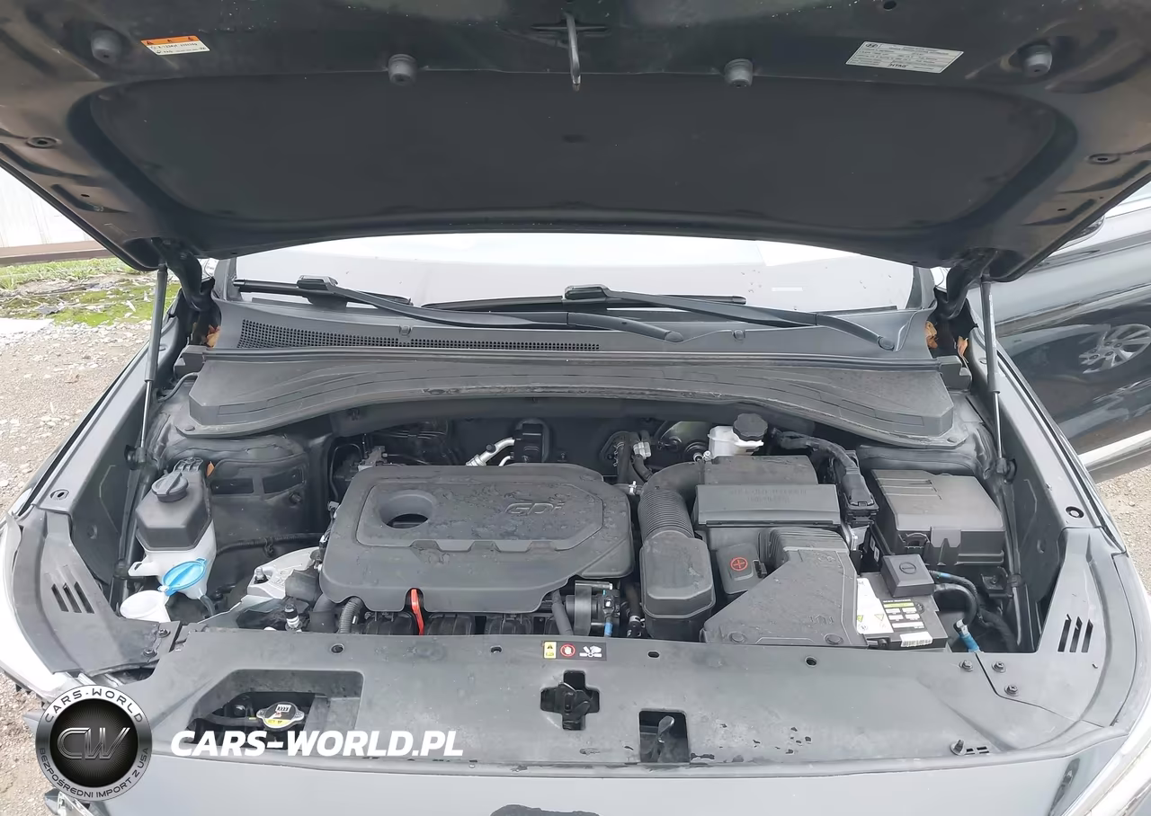 2019 Hyundai Santa Fe Sel VIN:5NMS33AD2KH028338 - 10